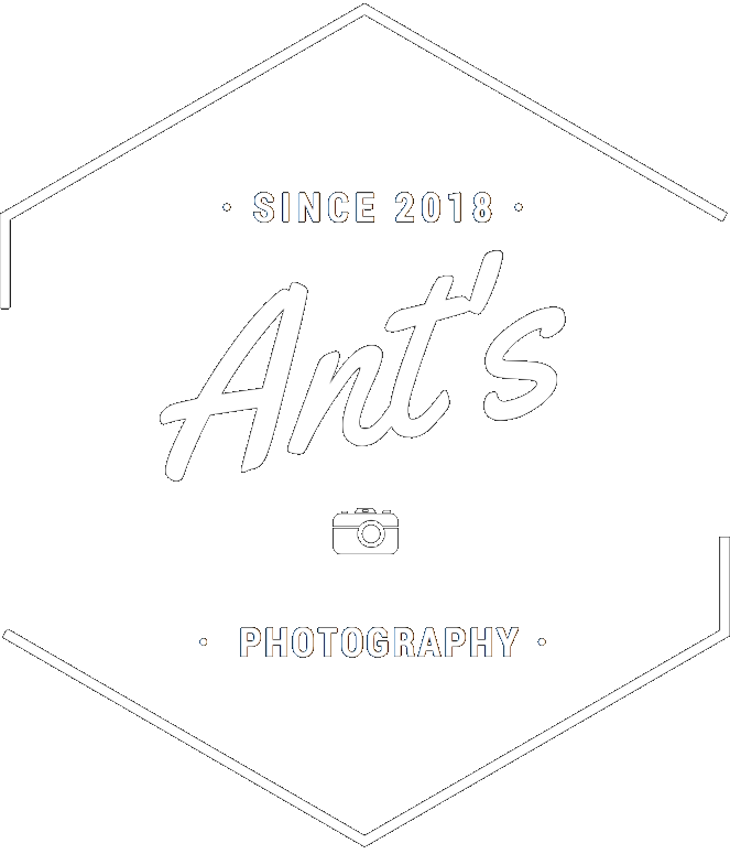 ants photo